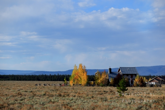Yellowstone_National_Park_Wyoming_USA_landscape_nature_And_Grand_Teton_Photography_003_Canon_EOS_R5_Mark_II.JPG