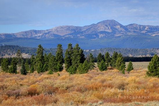 Yellowstone_National_Park_Wyoming_USA_landscape_nature_And_Grand_Teton_Photography_004_Canon_EOS_R5_Mark_II.JPG