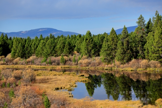 Yellowstone_National_Park_Wyoming_USA_landscape_nature_And_Grand_Teton_Photography_006_Canon_EOS_R5_Mark_II.JPG