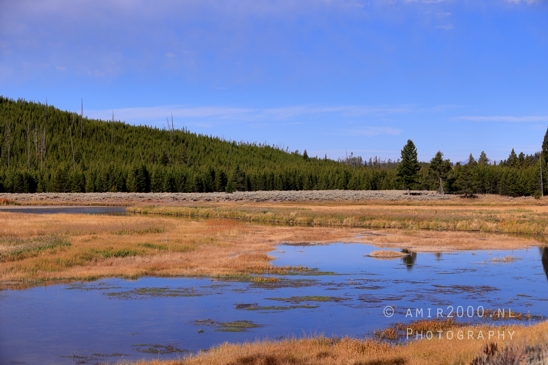 Yellowstone_National_Park_Wyoming_USA_landscape_nature_And_Grand_Teton_Photography_007_Canon_EOS_R5_Mark_II.JPG