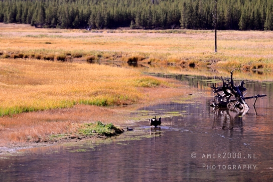 Yellowstone_National_Park_Wyoming_USA_landscape_nature_And_Grand_Teton_Photography_009_Canon_EOS_R5_Mark_II.JPG
