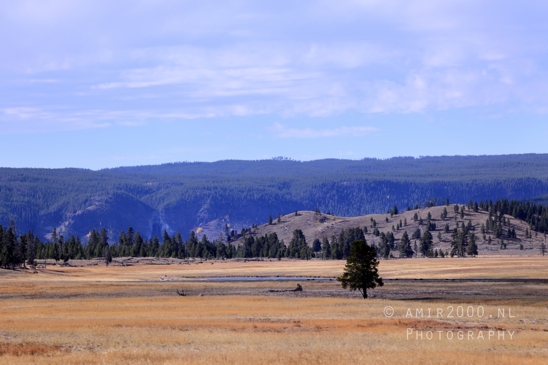 Yellowstone_National_Park_Wyoming_USA_landscape_nature_And_Grand_Teton_Photography_013_Canon_EOS_R5_Mark_II.JPG