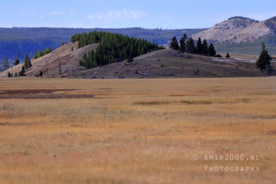 Yellowstone_National_Park_Wyoming_USA_landscape_nature_And_Grand_Teton_Photography_015_Canon_EOS_R5_Mark_II.JPG