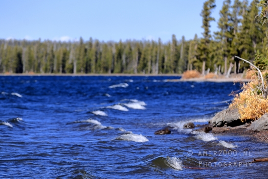 Yellowstone_National_Park_Wyoming_USA_landscape_nature_And_Grand_Teton_Photography_027_Canon_EOS_R5_Mark_II.JPG