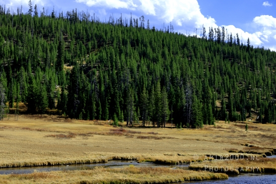 Yellowstone_National_Park_Wyoming_USA_landscape_nature_And_Grand_Teton_Photography_032_Canon_EOS_R5_Mark_II.JPG