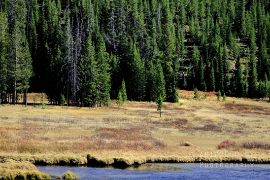 Yellowstone_National_Park_Wyoming_USA_landscape_nature_And_Grand_Teton_Photography_034_Canon_EOS_R5_Mark_II.JPG