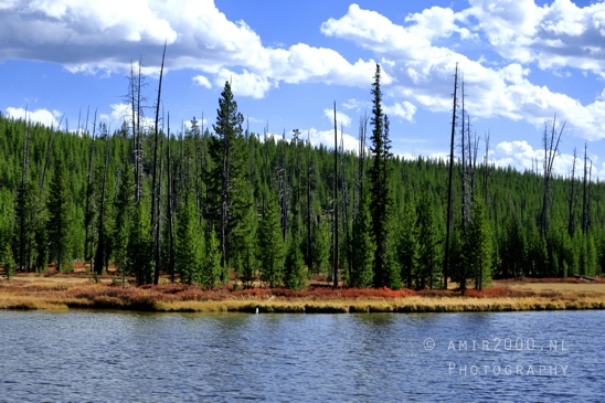 Yellowstone_National_Park_Wyoming_USA_landscape_nature_And_Grand_Teton_Photography_035_Canon_EOS_R5_Mark_II.JPG
