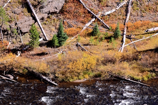 Yellowstone_National_Park_Wyoming_USA_landscape_nature_And_Grand_Teton_Photography_043_Canon_EOS_R5_Mark_II.JPG