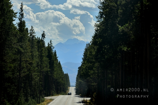 Yellowstone_National_Park_Wyoming_USA_landscape_nature_And_Grand_Teton_Photography_046_Canon_EOS_R5_Mark_II.JPG