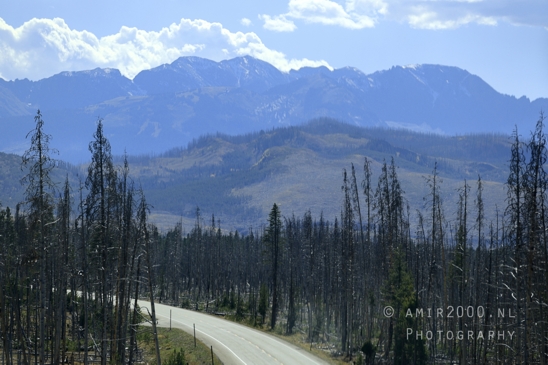 Yellowstone_National_Park_Wyoming_USA_landscape_nature_And_Grand_Teton_Photography_049_Canon_EOS_R5_Mark_II.JPG