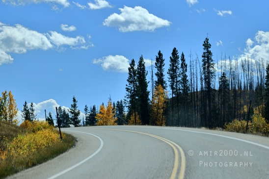 Yellowstone_National_Park_Wyoming_USA_landscape_nature_And_Grand_Teton_Photography_051_Canon_EOS_R5_Mark_II.JPG