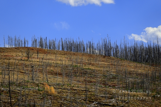 Yellowstone_National_Park_Wyoming_USA_landscape_nature_And_Grand_Teton_Photography_052_Canon_EOS_R5_Mark_II.JPG