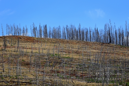 Yellowstone_National_Park_Wyoming_USA_landscape_nature_And_Grand_Teton_Photography_053_Canon_EOS_R5_Mark_II.JPG