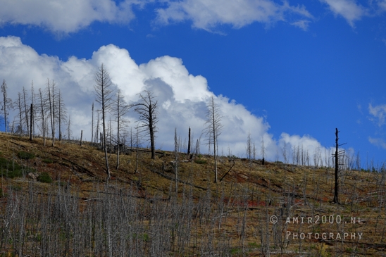 Yellowstone_National_Park_Wyoming_USA_landscape_nature_And_Grand_Teton_Photography_054_Canon_EOS_R5_Mark_II.JPG