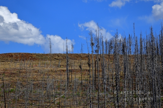 Yellowstone_National_Park_Wyoming_USA_landscape_nature_And_Grand_Teton_Photography_058_Canon_EOS_R5_Mark_II.JPG