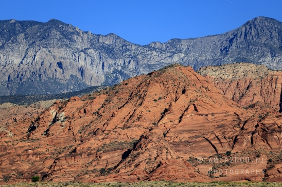Zion_National_Park_Canyon_Utah_USA_landscape_nature_Photography_010_Canon_EOS_R5_Mark_II.JPG