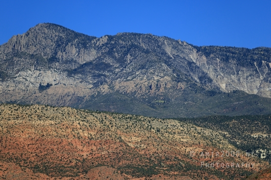 Zion_National_Park_Canyon_Utah_USA_landscape_nature_Photography_013_Canon_EOS_R5_Mark_II.JPG