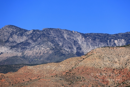 Zion_National_Park_Canyon_Utah_USA_landscape_nature_Photography_014_Canon_EOS_R5_Mark_II.JPG