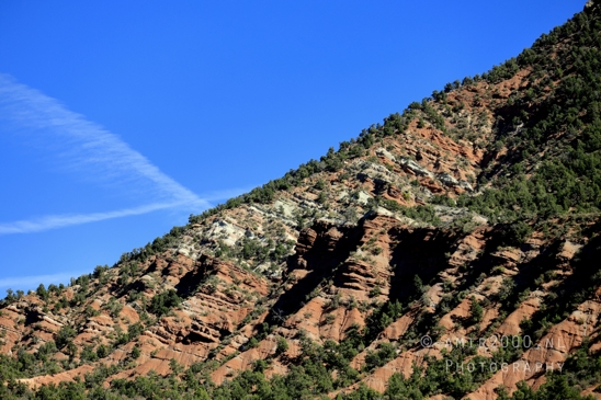 Zion_National_Park_Canyon_Utah_USA_landscape_nature_Photography_020_Canon_EOS_R5_Mark_II.JPG