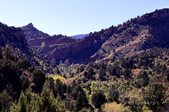 Zion_National_Park_Canyon_Utah_USA_landscape_nature_Photography_022_Canon_EOS_R5_Mark_II.JPG