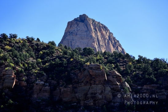 Zion_National_Park_Canyon_Utah_USA_landscape_nature_Photography_026_Canon_EOS_R5_Mark_II.JPG