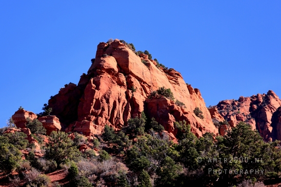Zion_National_Park_Canyon_Utah_USA_landscape_nature_Photography_028_Canon_EOS_R5_Mark_II.JPG