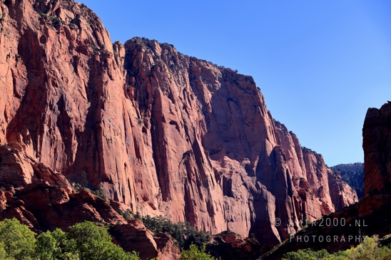 Zion_National_Park_Canyon_Utah_USA_landscape_nature_Photography_029_Canon_EOS_R5_Mark_II.JPG