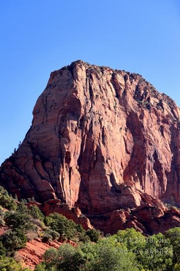Zion_National_Park_Canyon_Utah_USA_landscape_nature_Photography_030_Canon_EOS_R5_Mark_II.JPG