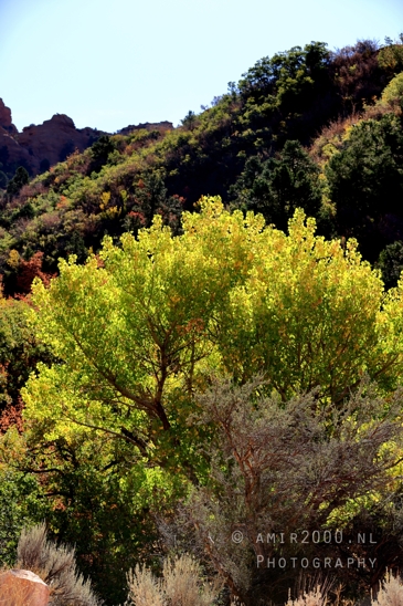 Zion_National_Park_Canyon_Utah_USA_landscape_nature_Photography_031_Canon_EOS_R5_Mark_II.JPG
