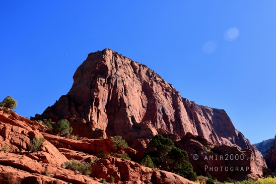 Zion_National_Park_Canyon_Utah_USA_landscape_nature_Photography_032_Canon_EOS_R5_Mark_II.JPG