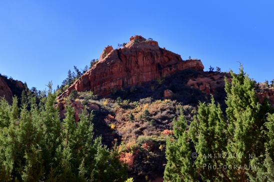 Zion_National_Park_Canyon_Utah_USA_landscape_nature_Photography_035_Canon_EOS_R5_Mark_II.JPG