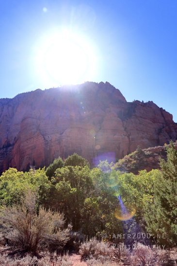 Zion_National_Park_Canyon_Utah_USA_landscape_nature_Photography_036_Canon_EOS_R5_Mark_II.JPG