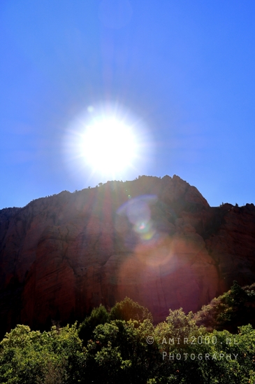 Zion_National_Park_Canyon_Utah_USA_landscape_nature_Photography_037_Canon_EOS_R5_Mark_II.JPG