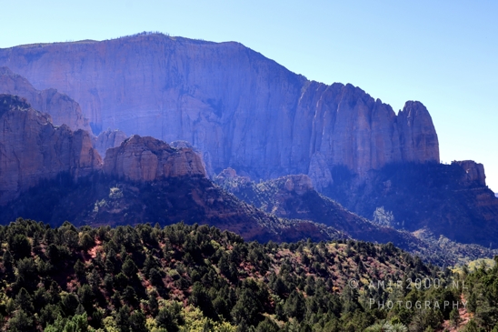 Zion_National_Park_Canyon_Utah_USA_landscape_nature_Photography_041_Canon_EOS_R5_Mark_II.JPG