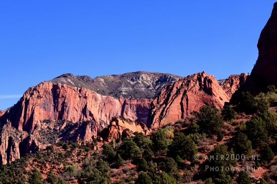 Zion_National_Park_Canyon_Utah_USA_landscape_nature_Photography_043_Canon_EOS_R5_Mark_II.JPG