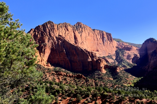 Zion_National_Park_Canyon_Utah_USA_landscape_nature_Photography_045_Canon_EOS_R5_Mark_II.JPG
