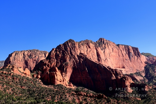 Zion_National_Park_Canyon_Utah_USA_landscape_nature_Photography_046_Canon_EOS_R5_Mark_II.JPG