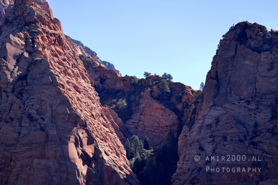 Zion_National_Park_Canyon_Utah_USA_landscape_nature_Photography_049_Canon_EOS_R5_Mark_II.JPG