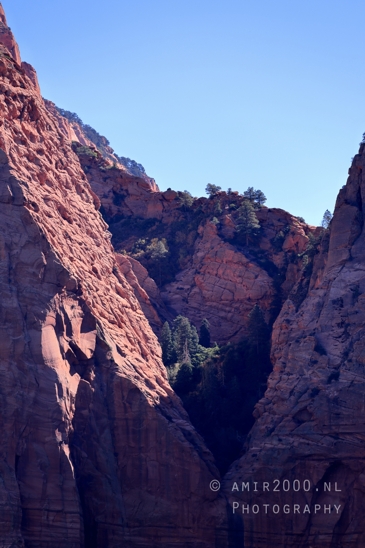 Zion_National_Park_Canyon_Utah_USA_landscape_nature_Photography_050_Canon_EOS_R5_Mark_II.JPG