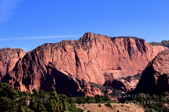 Zion_National_Park_Canyon_Utah_USA_landscape_nature_Photography_056_Canon_EOS_R5_Mark_II.JPG