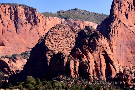 Zion_National_Park_Canyon_Utah_USA_landscape_nature_Photography_057_Canon_EOS_R5_Mark_II.JPG