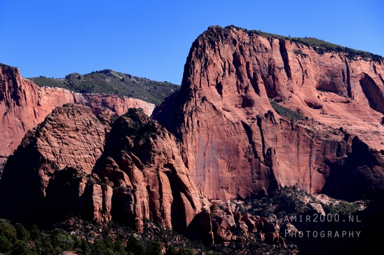 Zion_National_Park_Canyon_Utah_USA_landscape_nature_Photography_058_Canon_EOS_R5_Mark_II.JPG
