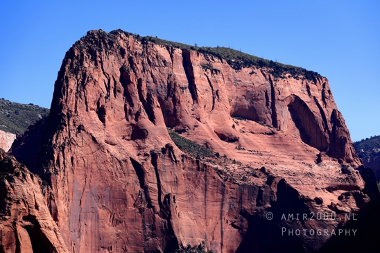 Zion_National_Park_Canyon_Utah_USA_landscape_nature_Photography_059_Canon_EOS_R5_Mark_II.JPG