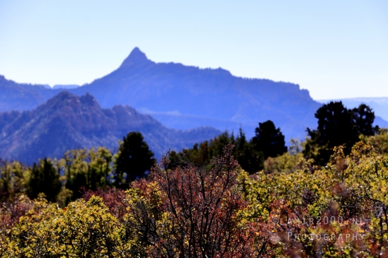 Zion_National_Park_Canyon_Utah_USA_landscape_nature_Photography_060_Canon_EOS_R5_Mark_II.JPG