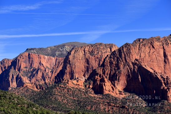 Zion_National_Park_Canyon_Utah_USA_landscape_nature_Photography_065_Canon_EOS_R5_Mark_II.JPG