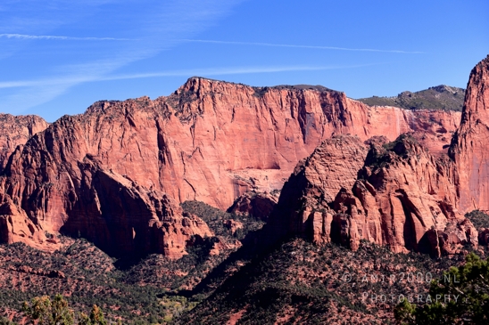 Zion_National_Park_Canyon_Utah_USA_landscape_nature_Photography_067_Canon_EOS_R5_Mark_II.JPG