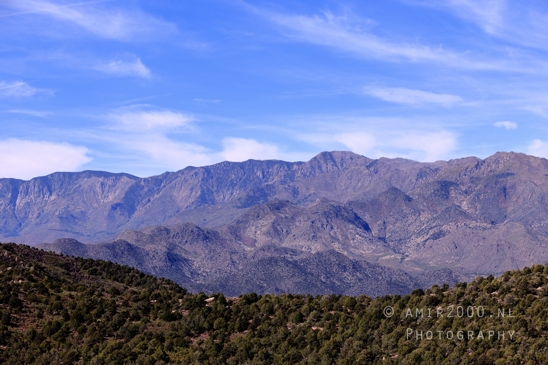 Zion_National_Park_Canyon_Utah_USA_landscape_nature_Photography_069_Canon_EOS_R5_Mark_II.JPG