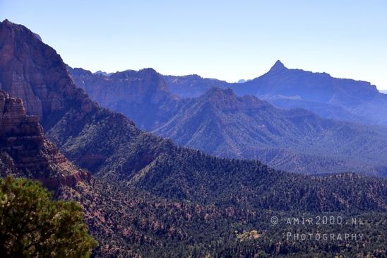 Zion_National_Park_Canyon_Utah_USA_landscape_nature_Photography_070_Canon_EOS_R5_Mark_II.JPG