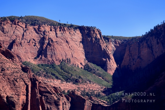 Zion_National_Park_Canyon_Utah_USA_landscape_nature_Photography_071_Canon_EOS_R5_Mark_II.JPG