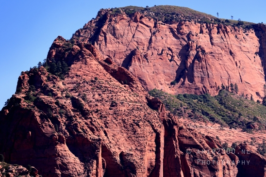 Zion_National_Park_Canyon_Utah_USA_landscape_nature_Photography_073_Canon_EOS_R5_Mark_II.JPG
